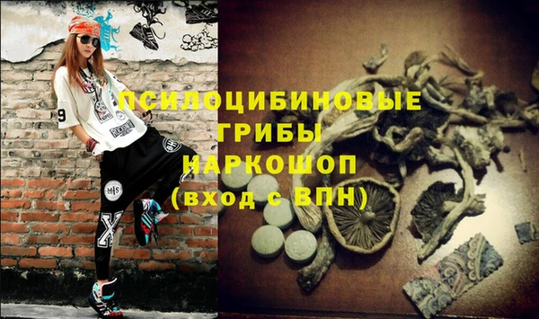 apvp Алексеевка