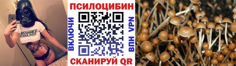 Псилоцибиновые грибы GOLDEN TEACHER блэк спрут ТОР Безенчук цена наркотик
